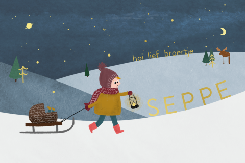 Geboortekaartje winternacht broertje slee wiegje goudfolie