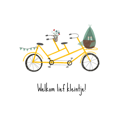 Wenskaart fiets wiegje kindje