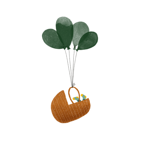 Sluitzegel ballon wiegje