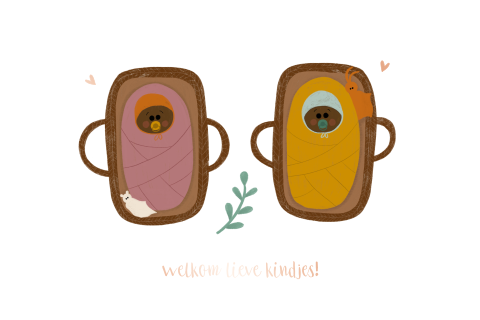 Wenskaart tweeling mozesmandjes