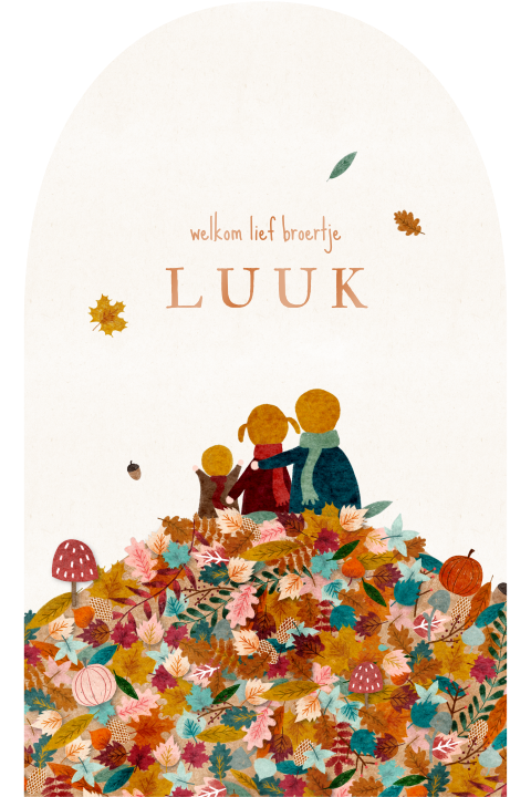 Geboortekaartje boogvorm herfst grote broer zus