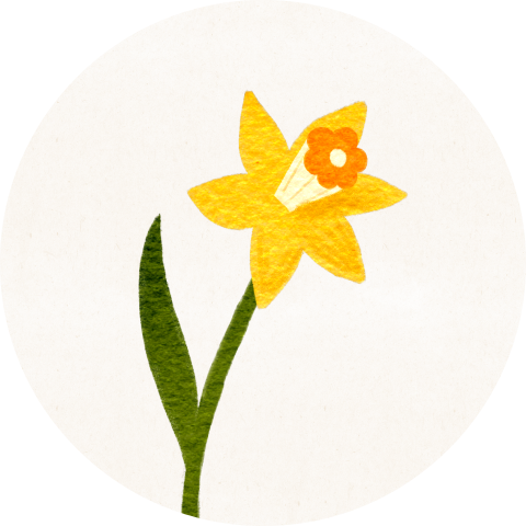 Sluitzegel lente narcis