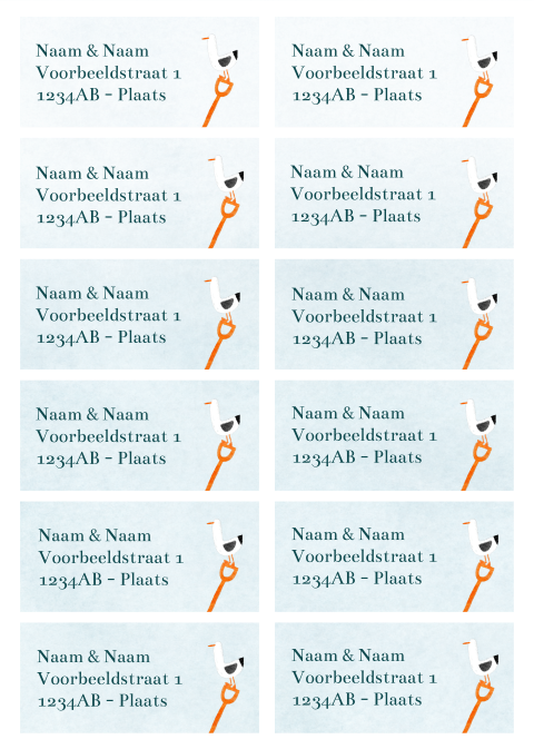 Adressticker strand meeuw | 94 x 45 mm