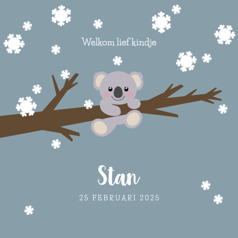 Geboortekaartje winter Koala in de sneeuw