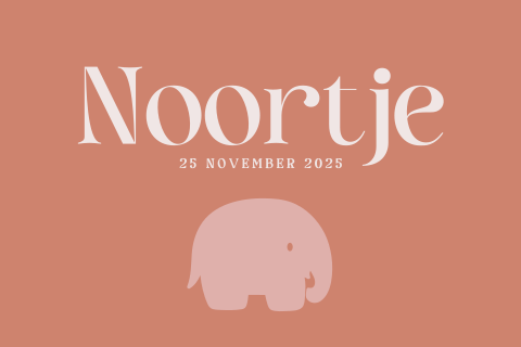 Trendy geboortekaartje minimalistisch ontwerp met een olifantje