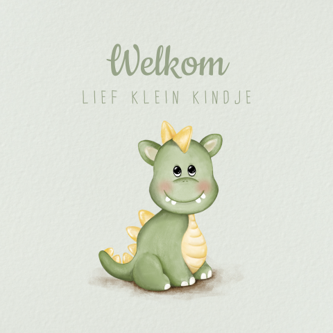 Felicitatiekaart geboorte jongen met lief draakje