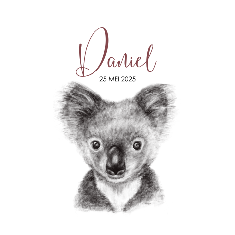 Raamsticker geboorteaankondiging met een tekening koalabeertje