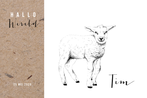 Geboortekaart jongen -Hallo Wereld- tekening lammetje Tim