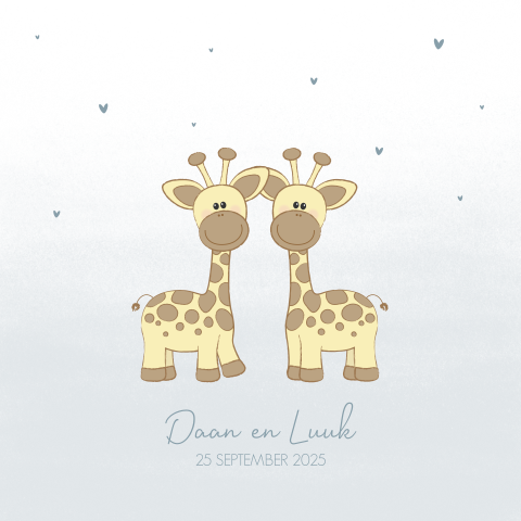 Geboortekaartje tweeling jongens met lieve girafjes en hartjes