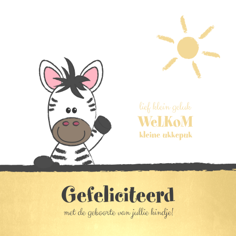 Felicitatie geboorte zomerse wenskaart met een zebra en een zon