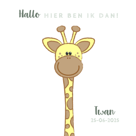 Geboortekaartje jongen met een lief giraffe Twan