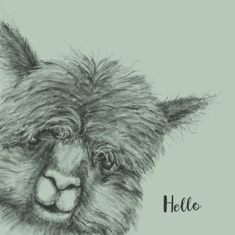 Felicitatie geboorte jongen met een tekening van een alpaca