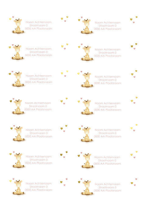 Adresstickers geboorte meisje met tekening van lief girafje