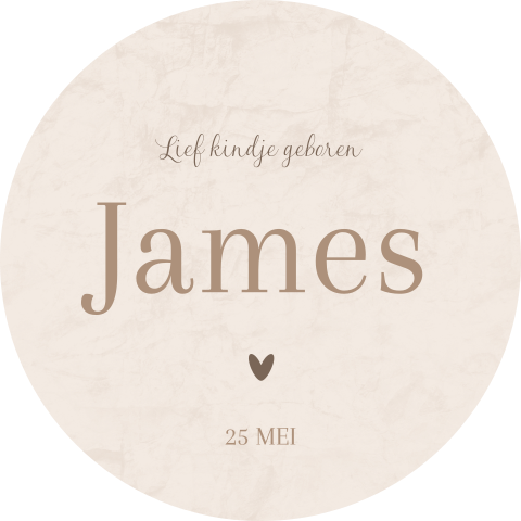 Raamsticker geboorte met natuurlijke en minimalistische uitstraling