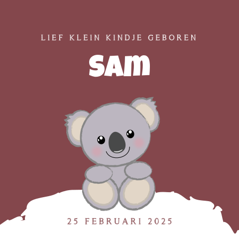 Geboortekaart winters met een lief koalabeertje