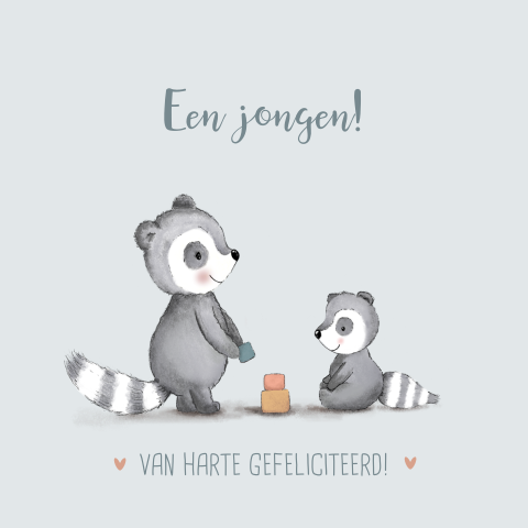 Felicitatie geboorte jongen met twee lieve dasjes