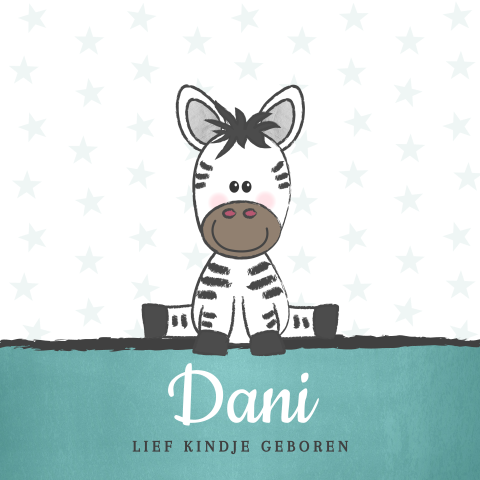 Raamsticker jongen met zebra en sterren