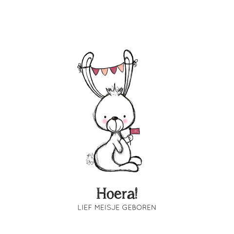 Felicitatiekaart geboorte meisje met een lief konijntje
