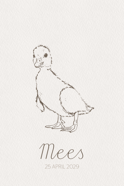 Minimalistisch geboortekaartje jongen pentekening van een baby-eendje