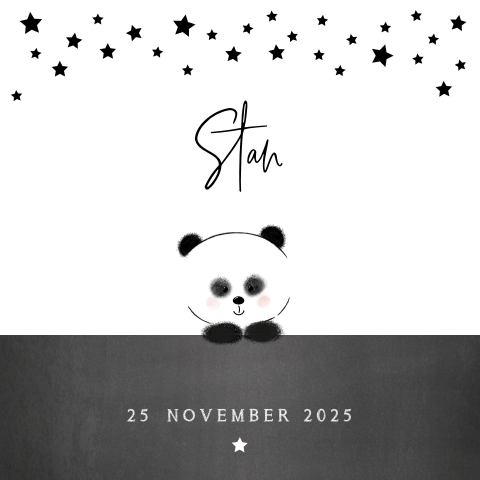 Geboortekaart jongen met een schattig pandabeertje Stan