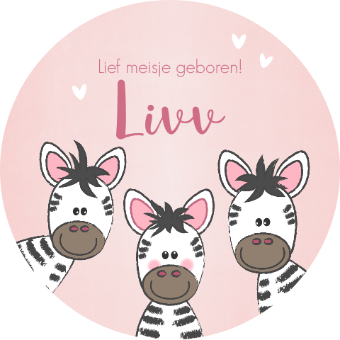 Raamsticker geboorte meisje met zebra zusje