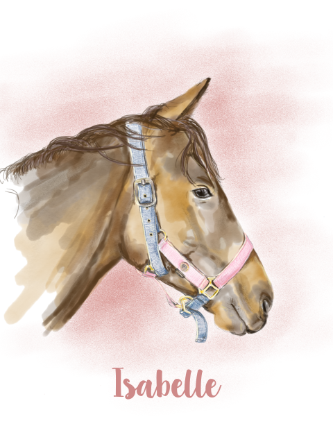 Prachtige paardenposter voor paardenmeisjes 30x40cm