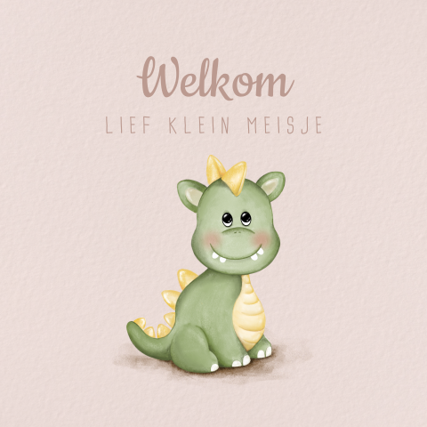 Felicitatiekaart geboorte meisje met lief draakje