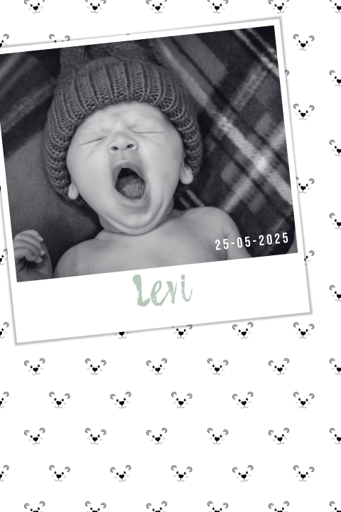 Geboortekaartje jongen patroon met beertjes en babyfoto Levi