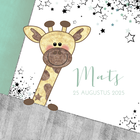 Geboortekaart jongen met schattig girafje en sterretjes