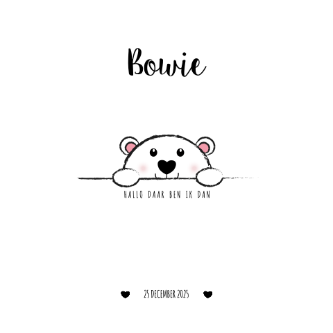 Schattig geboortekaartje zwart-wit met een lief ijsbeertje Bowie