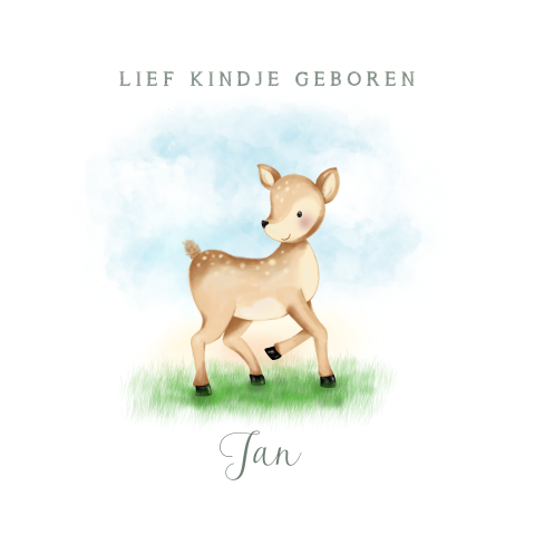 Geboortekaartje lente tekening lief baby hertje