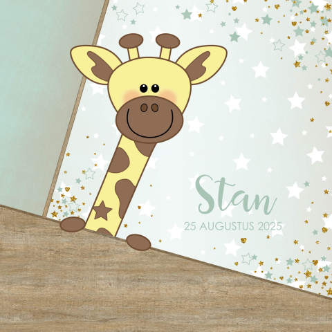 Geboortekaartje jongen met lief girafje en sterretjes