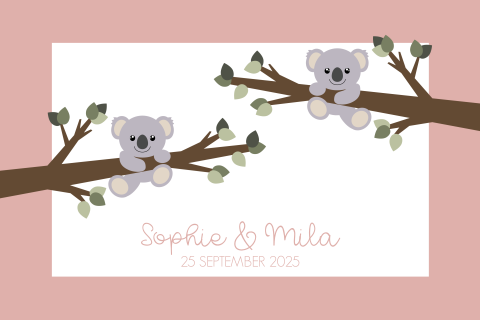 Schattig geboortekaartje tweeling meisjes met lieve koalabeertjes