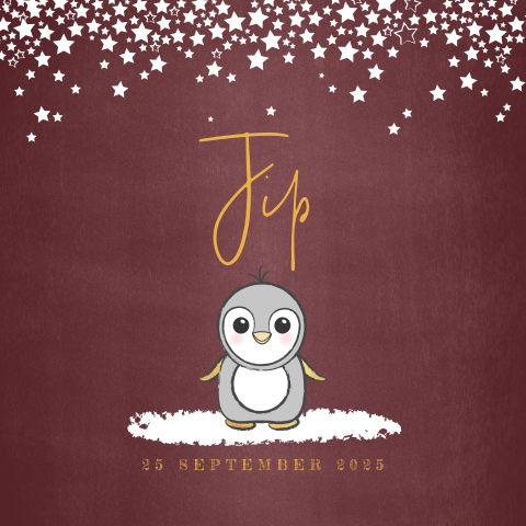 Geboortekaartje winter pinguïn en sterren