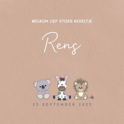 Geboortekaart terra met een koala zebra en leeuw