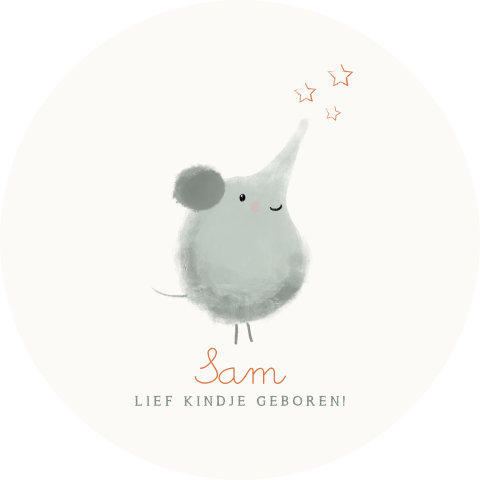 Raamsticker geboorte Ø60CM met grappig olifantje
