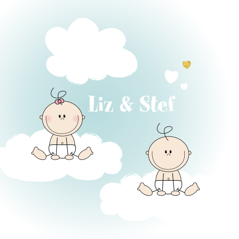 Lief geboortekaartje tweeling in de wolken Lizz en Stef