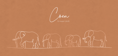 Geboortekaartje met lijntekening olifant