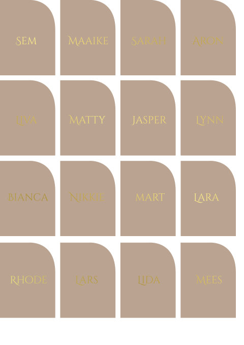 16 stuks | 48x55mm