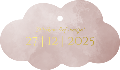 6,6x4cm wolk label kaartje met goudfolie