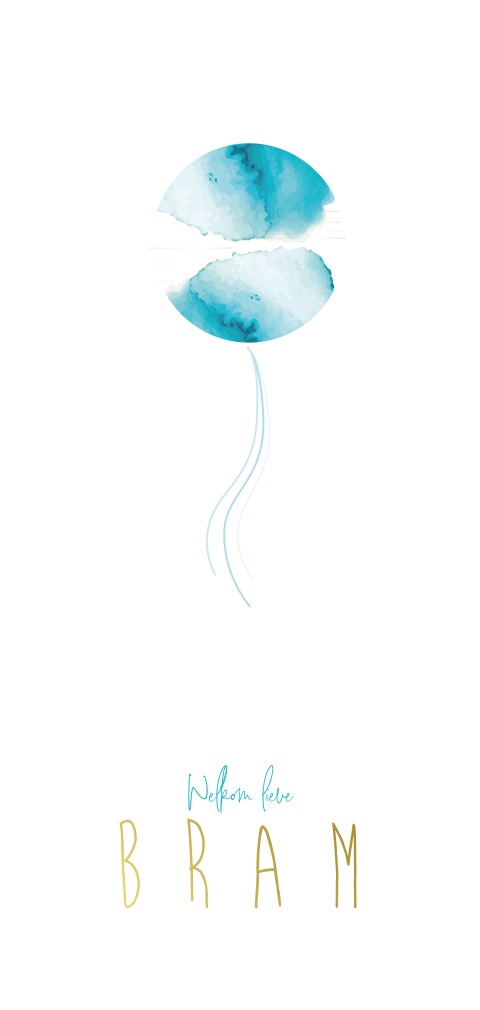 Lief jongens geboortekaartje met ballon