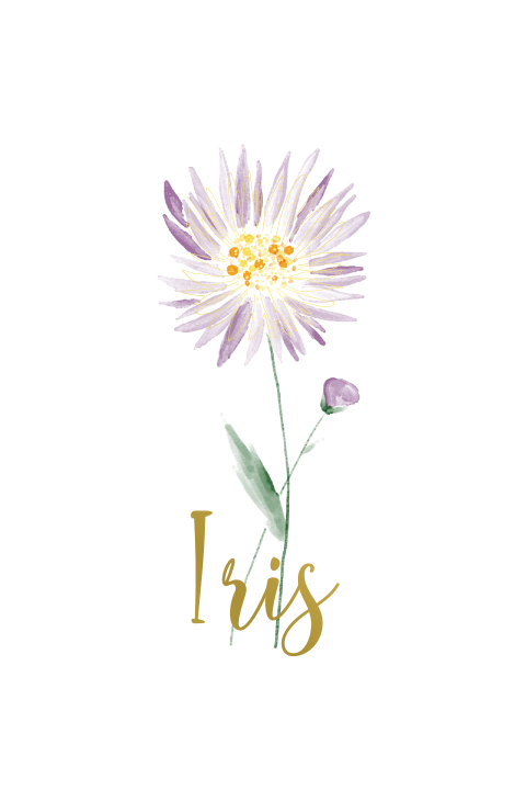 Geboortebloem geboortekaartje september - aster