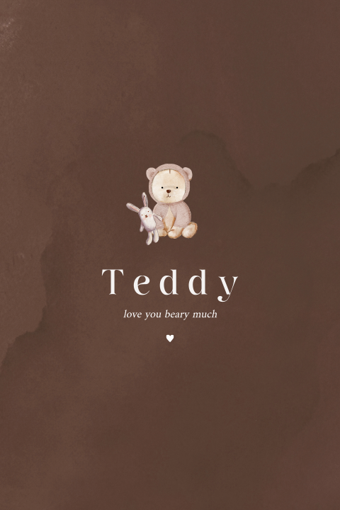 Geboortekaartje jongen met teddy beertje en konijn