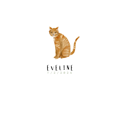 Minimalistisch babykaartje met lieve rode kat