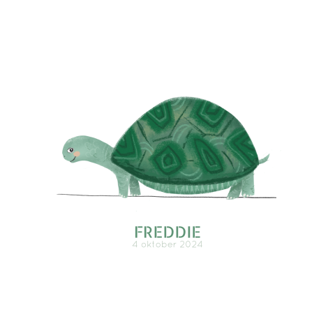 Minimalistisch geboortekaartje met schildpadje