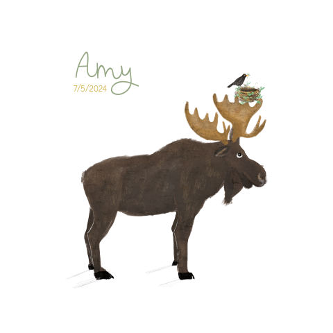 Geboortekaartje met eland en vogelnestje