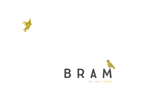 Minimalistisch geboortekaartje met okergele vogeltjes