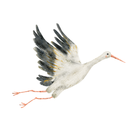 Sluitsticker ooievaar