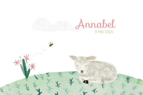 Lief geboortekaartje met een slapend lammetje in de lente