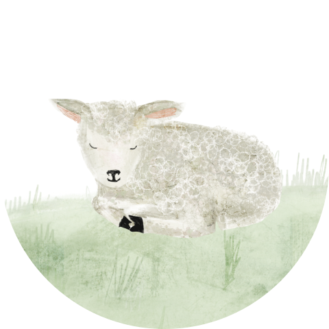 Sluitzegel lammetje